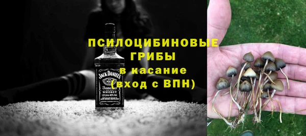 ALPHA PVP Белокуриха