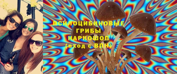 ALPHA PVP Белокуриха